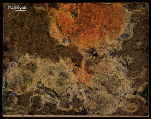 Obra Relevante (72)